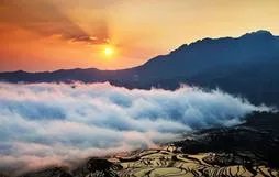 云南哈尼梯田的特点