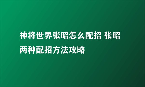 神将世界张昭怎么配招 张昭两种配招方法攻略
