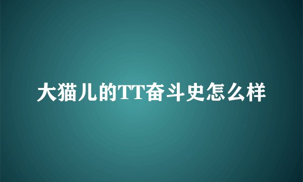 大猫儿的TT奋斗史怎么样