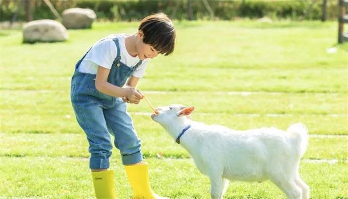 哪种动物的瞳孔是长方形的