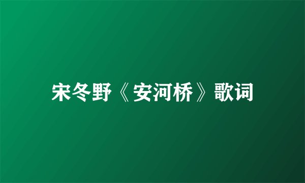 宋冬野《安河桥》歌词