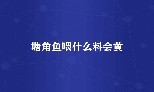 塘角鱼喂什么料会黄