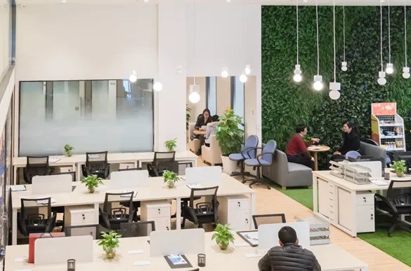 996工作制是什么意思