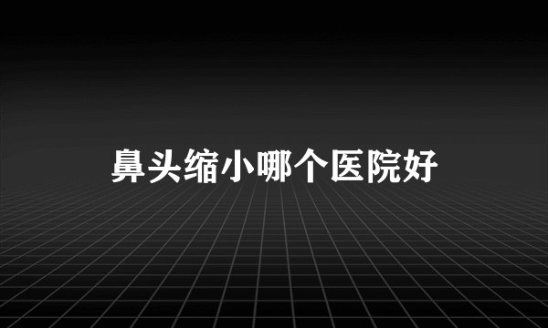 鼻头缩小哪个医院好