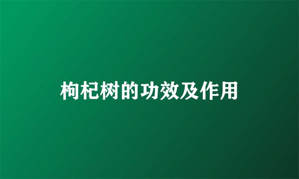 枸杞树的功效及作用