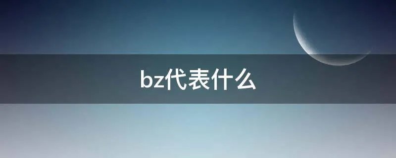 bz代表什么