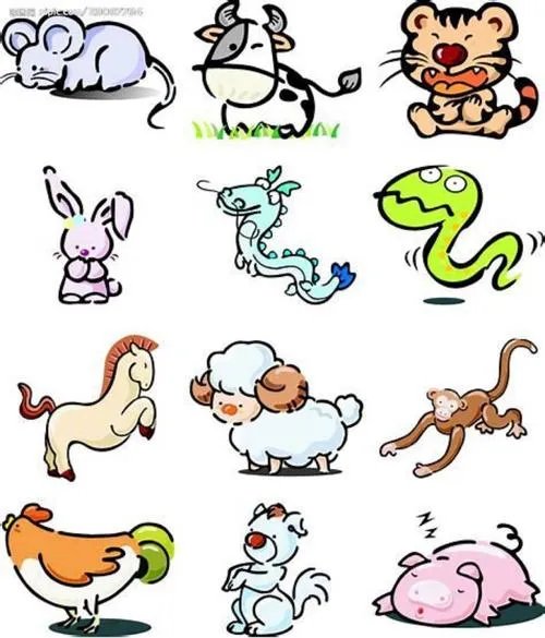 猪和什么属相最配