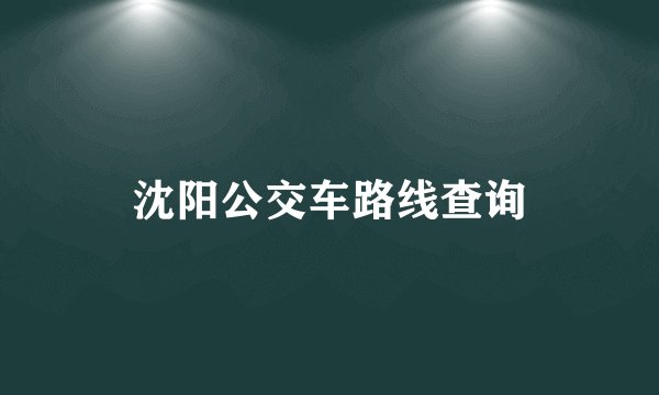 沈阳公交车路线查询