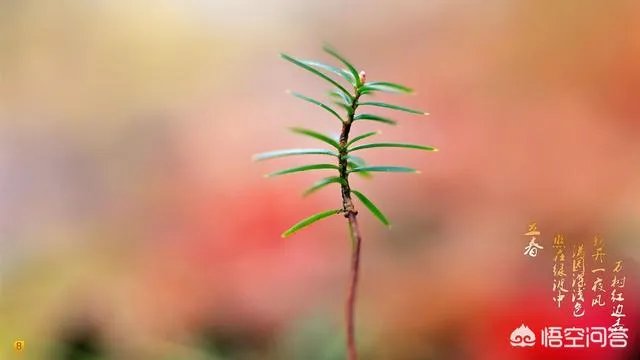 农村俗语“七年难逢九月闰,百年难逢初一春”,是什么意思?