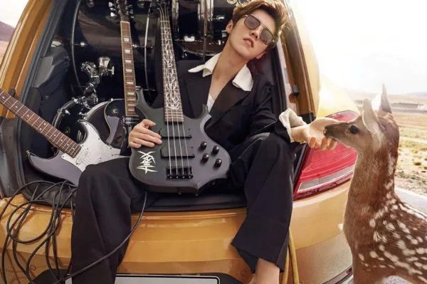 “硬照鬼才沈腾”是什么梗?