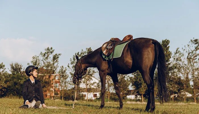 马肉能吃吗 马肉怎么吃