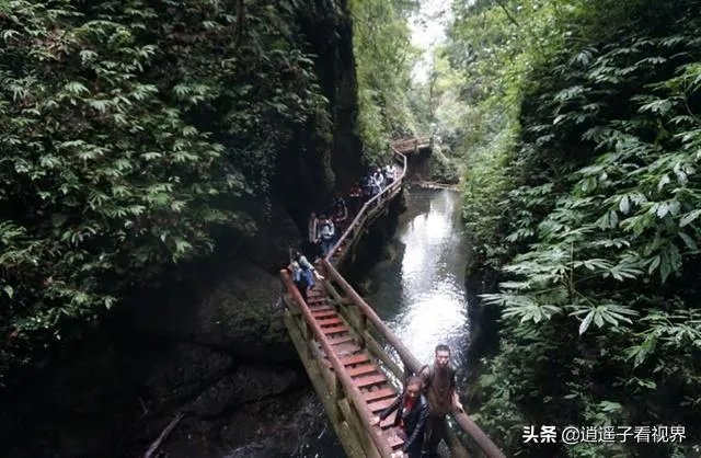 成都青城山好玩吗？