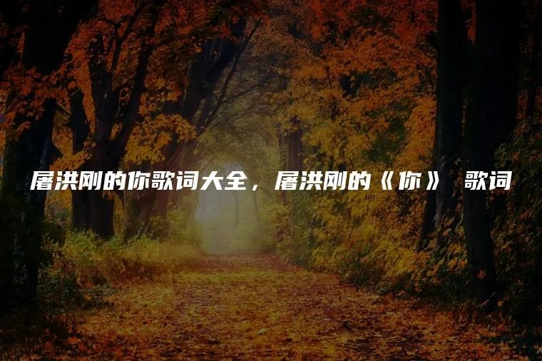 屠洪刚的你歌词大全,屠洪刚的《你》 歌词