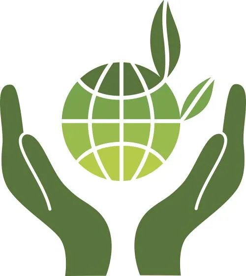 200岁一棵松被砍,你怎么看?