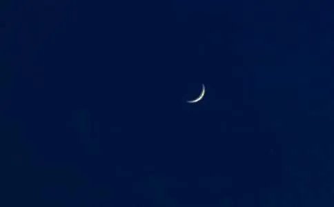 月亮里的桂树的歇后语