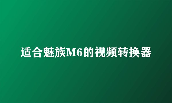 适合魅族M6的视频转换器