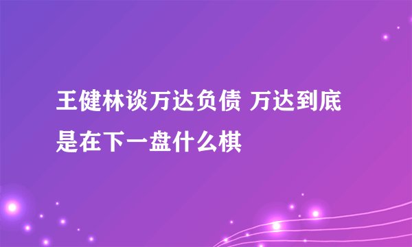 王健林谈万达负债 万达到底是在下一盘什么棋