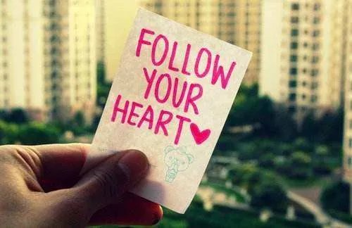 follow your heart为什么是怂的意思？由来是什么