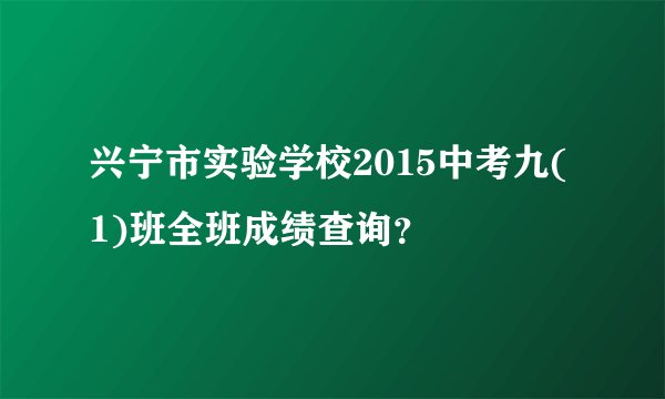 兴宁市实验学校2015中考九(1)班全班成绩查询？