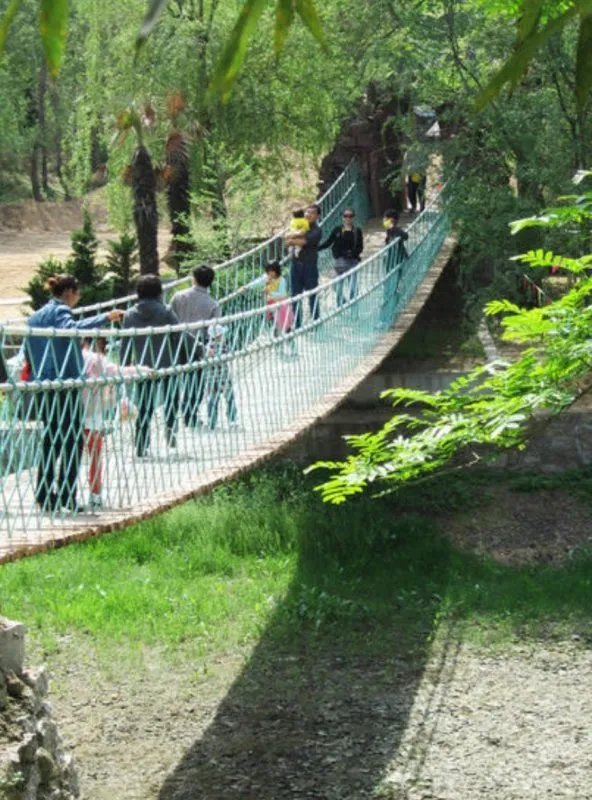 湖南邵阳一网红吊桥突然断裂游客集体落水,这种项目的安全性高吗?