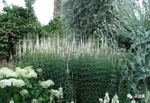 典型英式花园的精髓