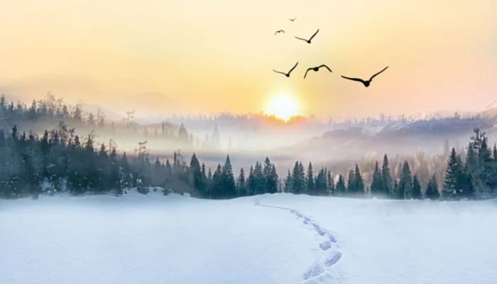 2022年几号数九第一天