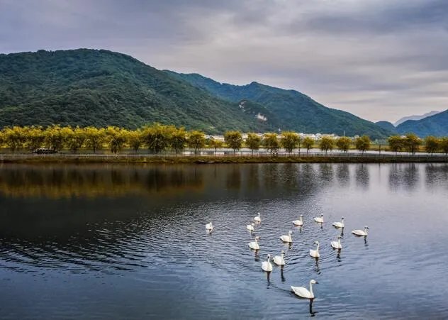 神农架在哪里 神农架在湖北哪个市