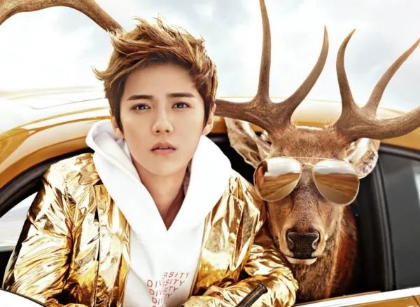 “硬照鬼才沈腾”是什么梗?