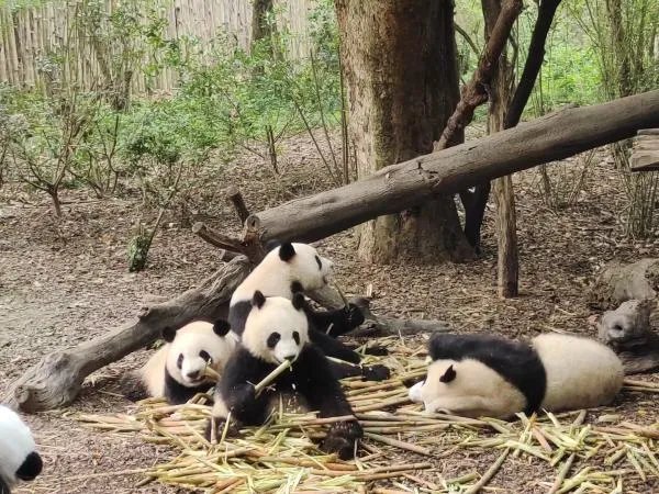 十一国庆节旅行你去过的哪些地方让你感觉「超值」?