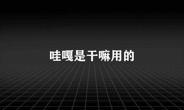 哇嘎是干嘛用的