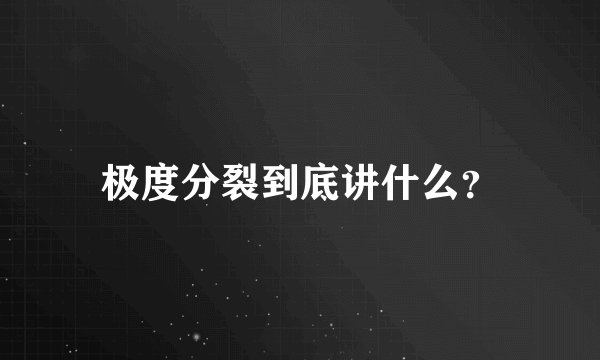 极度分裂到底讲什么？