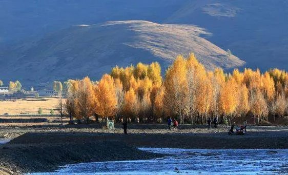 稻城亚丁部分游客被半路劝返,工作人员怎样解释?