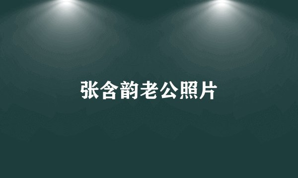 张含韵老公照片