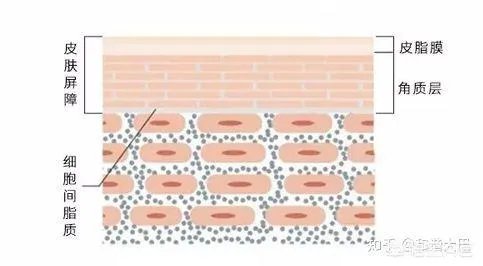 每天用食用盐洗脸好吗？