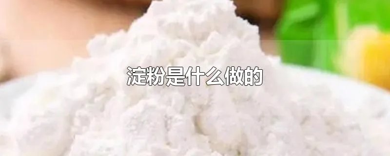 淀粉是什么做的