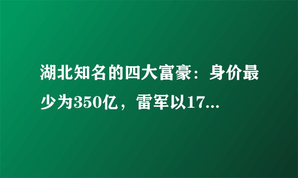 湖北知名的四大富豪：身价最少为350亿，雷军以1700亿排名第一