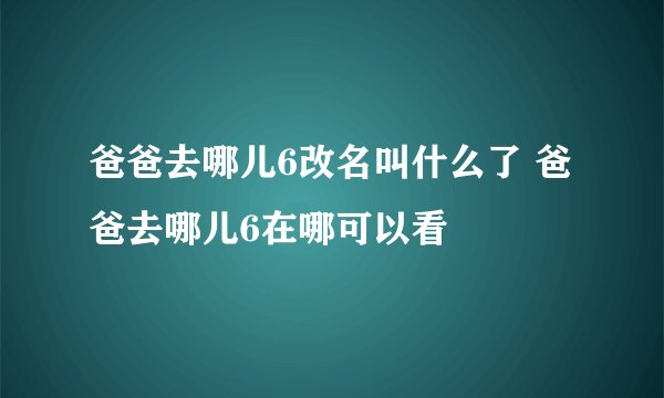 爸爸去哪儿6改名叫什么了 爸爸去哪儿6在哪可以看