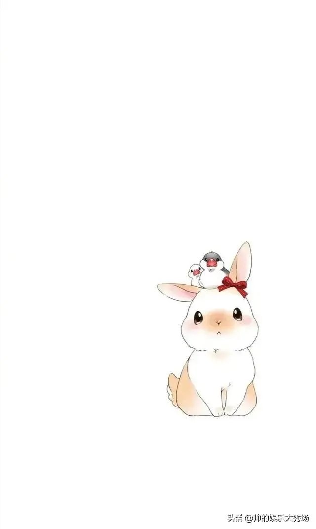 2020年了,还有人在等张翰郑爽的结果吗?