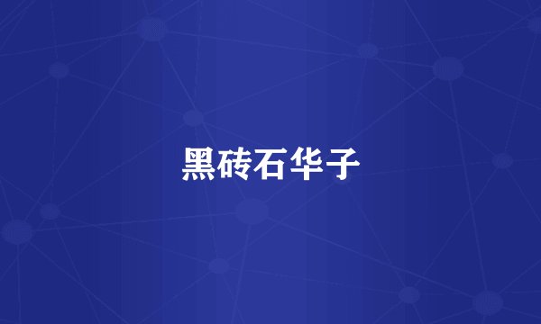 黑砖石华子