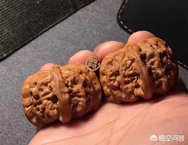 想盘玩核桃，是选小核桃好，还选麻核桃好？有什么区别？