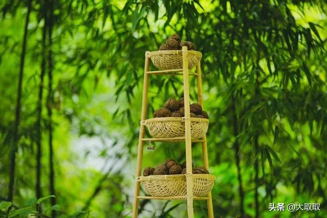 iPhone的哪一个型号最好