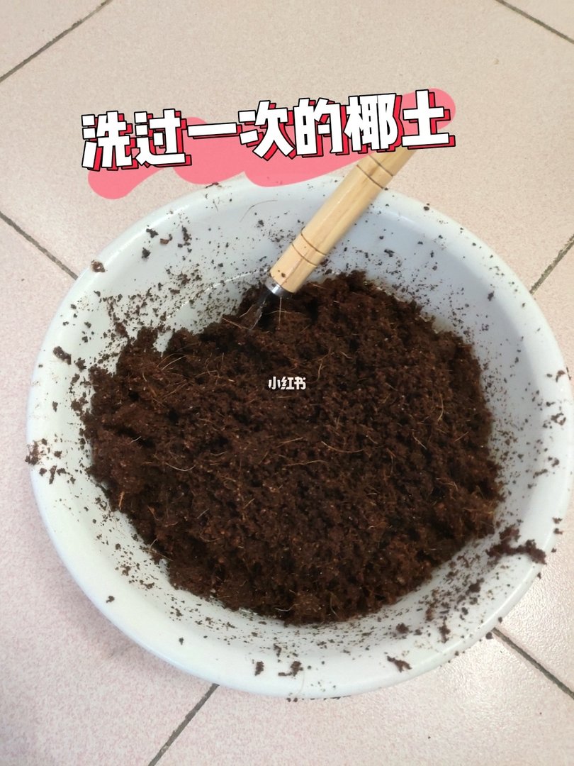 土壤的准备