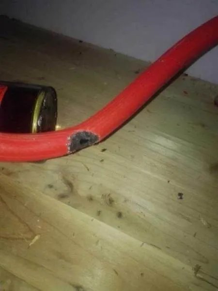 老鼠咬烂燃气胶管是怎么回事？有什么后果？