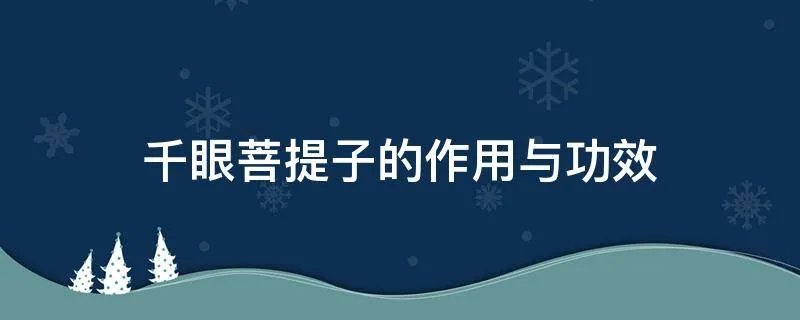 千眼菩提子的作用与功效
