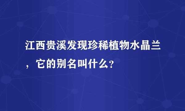 江西贵溪发现珍稀植物水晶兰，它的别名叫什么？