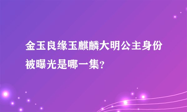 金玉良缘玉麒麟大明公主身份被曝光是哪一集？