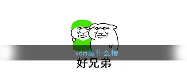 xdm是什么梗