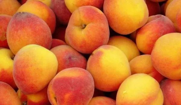 桃子是热性还是凉性的食物