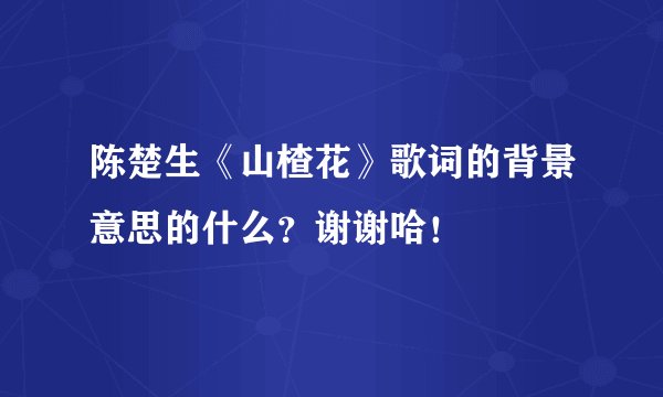 陈楚生《山楂花》歌词的背景意思的什么？谢谢哈！