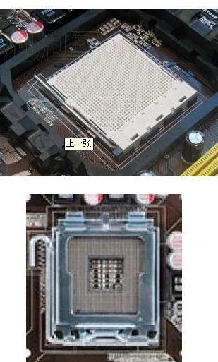 怎样看主板是用AMD还是用INNET CPU呢